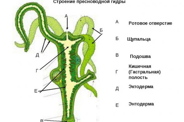 Кракен ссылка onion
