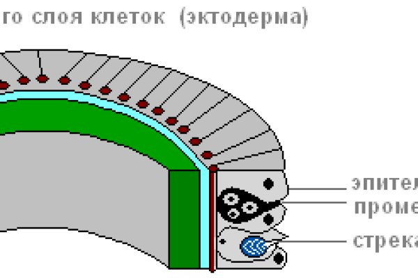 Кракен сайт пользователь не найден