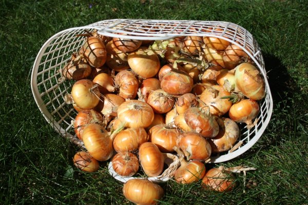 Кракен площадка ссылка