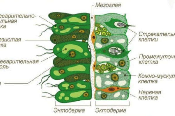 Кракен ссылка 2web