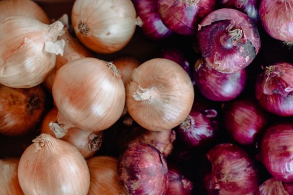 Kraken istand onion