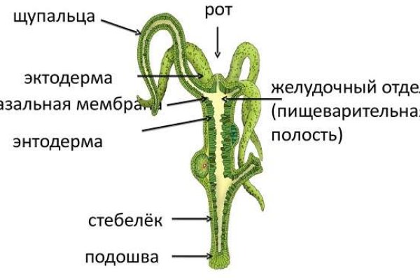 Кракен ссылка орион