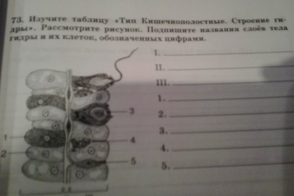 Кракен сайт kr2web