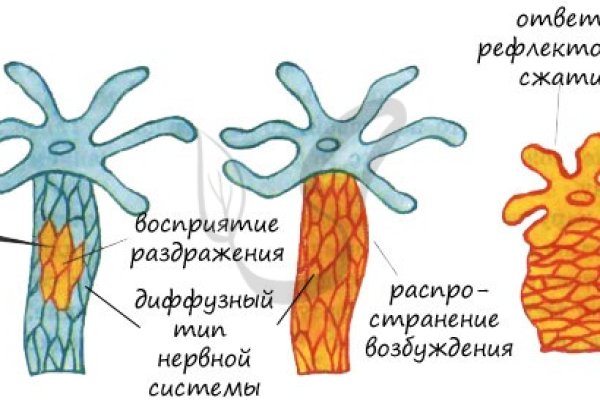 Спрут мега кракен