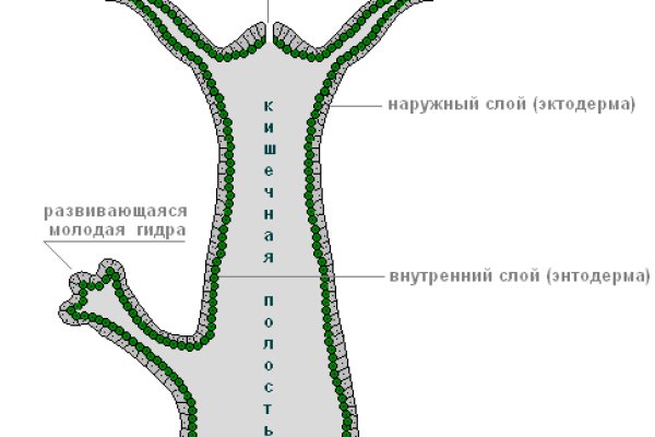 Кракен даркнет ссылка